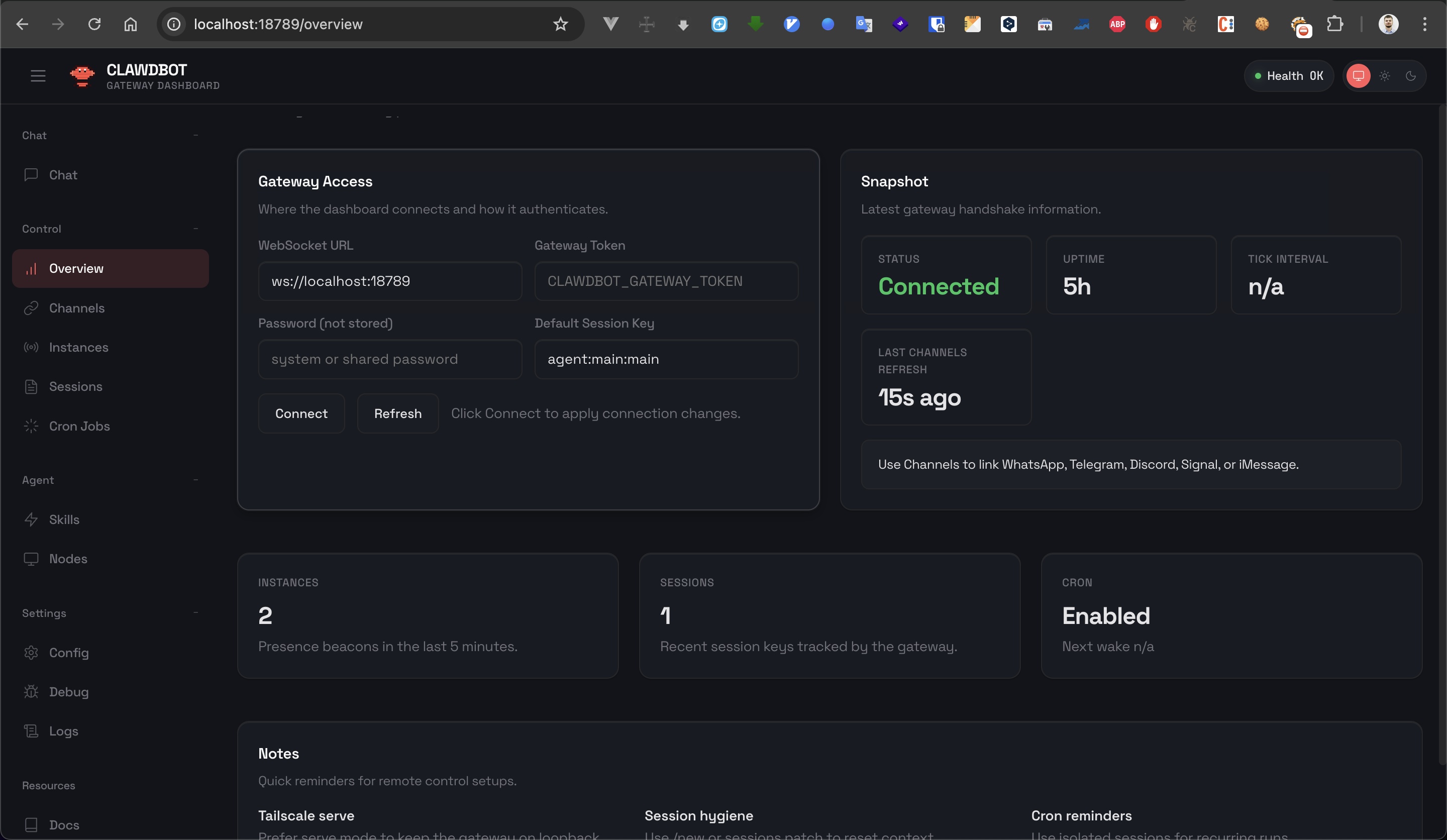 Overview page with WebSocket URL field