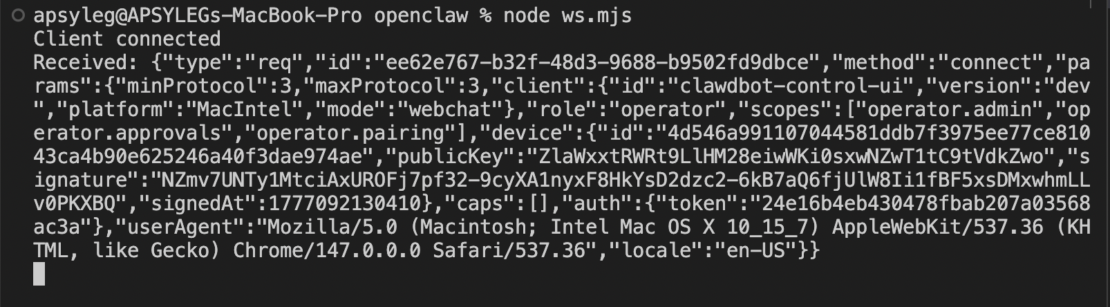 Console: auth.token and scopes captured